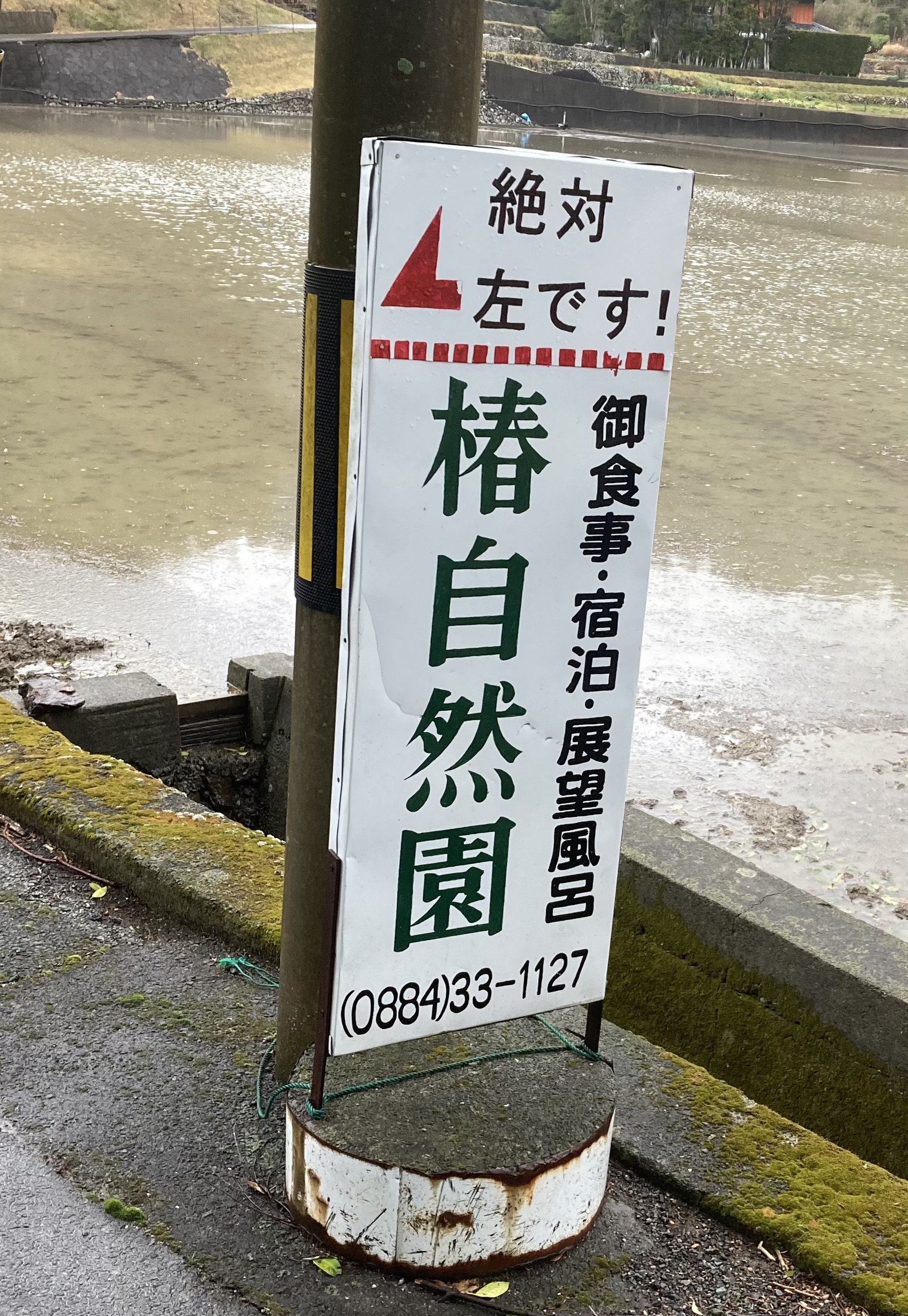 徳島県阿南市 椿自然園 椿泊湾のお造り定食 うどんは別腹