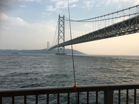 01ケンサキ仕掛け