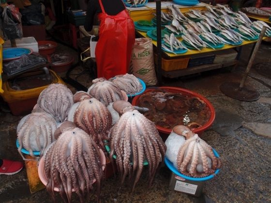 韓国釜山は神戸に似ていた 播磨と摂津の境目から