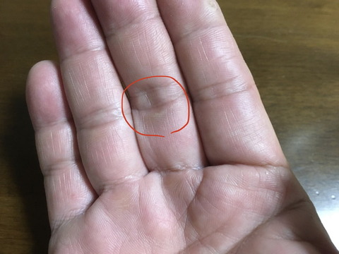 豆アジ釣りで指にマメ 播磨と摂津の境目から