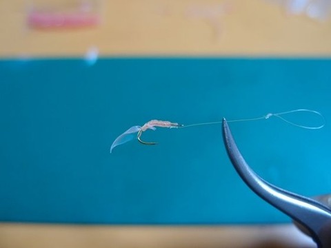 豆アジのサビキ釣りを極める 集魚剤の使い方 播磨と摂津の境目から 豆アジのサビキ釣りを極める 集魚剤の使い方 播磨と摂津の境目から