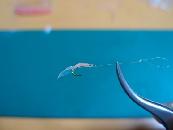 豆アジのサビキ釣りを極める 集魚剤の使い方 播磨と摂津の境目から 豆アジのサビキ釣りを極める 集魚剤の使い方 播磨と摂津の境目から