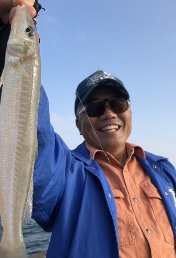 今年の須磨浦公園ベランダのデカギスに関する考察 播磨と摂津の境目から 今年の須磨浦公園ベランダのデカギスに関する考察 播磨と摂津の境目から