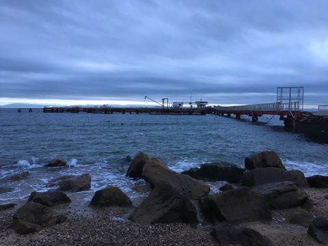 今年の須磨浦公園ベランダのデカギスに関する考察 播磨と摂津の境目から