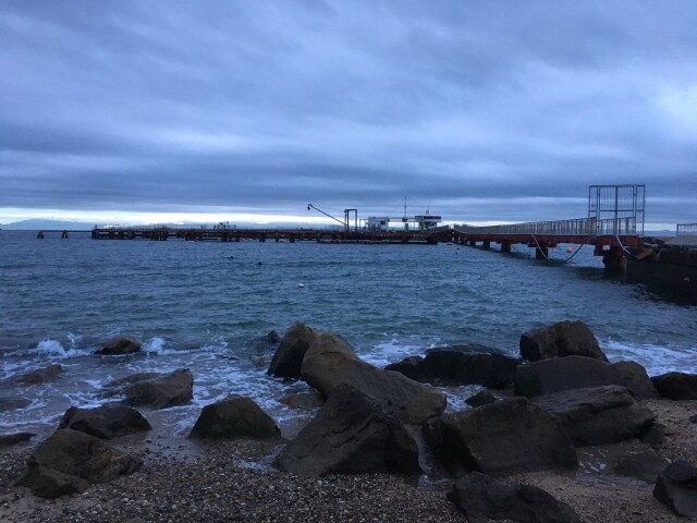 今年の須磨浦公園ベランダのデカギスに関する考察 播磨と摂津の境目から 今年の須磨浦公園ベランダのデカギスに関する考察 播磨と摂津の境目から