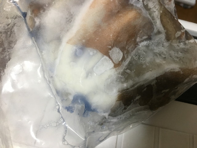 タコ捌きと翌日のキス 豆アジ釣り 年6月21日 播磨と摂津の境目から