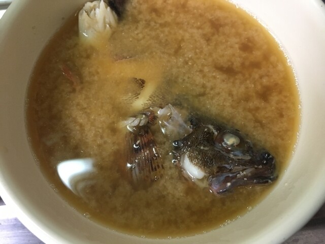 釣ったら食べます 鯛 ハネ ガシラ 播磨と摂津の境目から