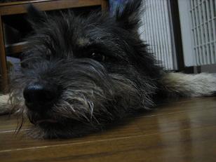 はな
