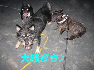 大騒ぎ