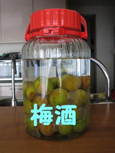 梅酒なり