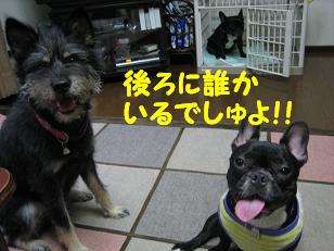 誰かな?