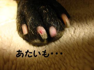 実はあたいも