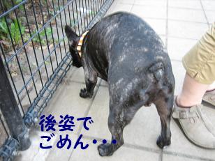 モナカさん