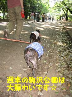大賑わい