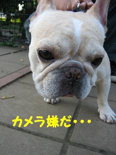 小鐵さん