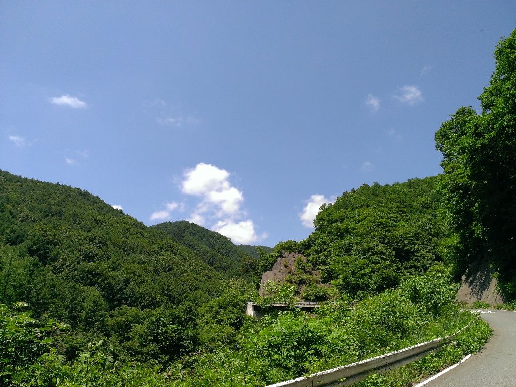 イメージ 7