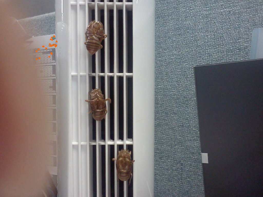 エロかくれ脱水こむら返りガッパ メガネくもっちゃった