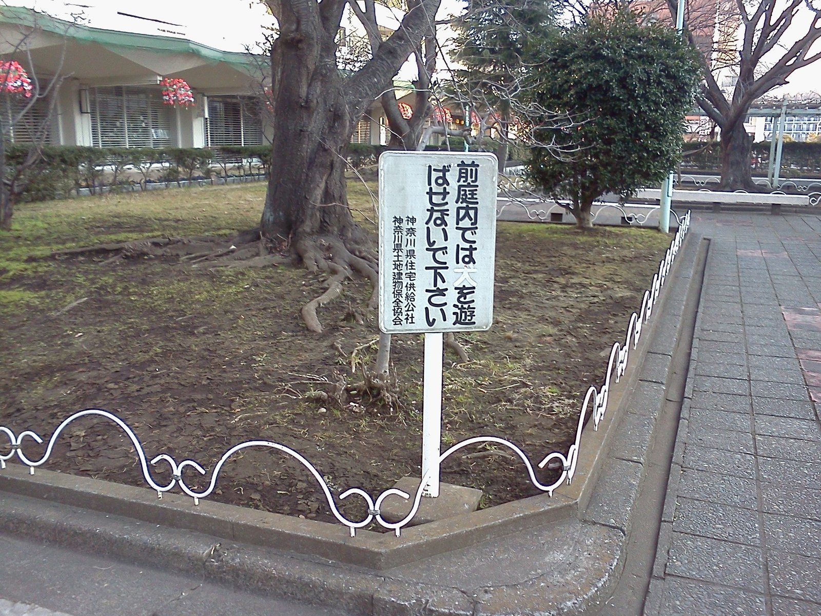 プロレスは底が丸見えの底なし沼 メガネくもっちゃった