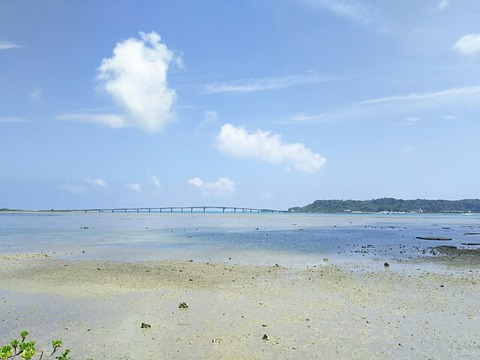 ²Æì ¸ÞÌܥ饤¥È¥ë¥¢¡¼