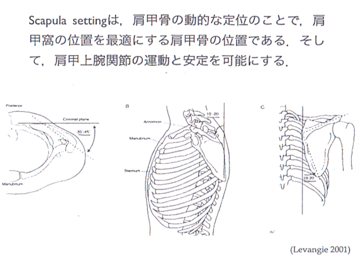 片麻痺 肩甲骨セッティングについて 脳血管の治療を考える作業療法士のブログ 片麻痺 肩甲骨セッティングについて 脳血管の治療を考える作業療法士のブログ