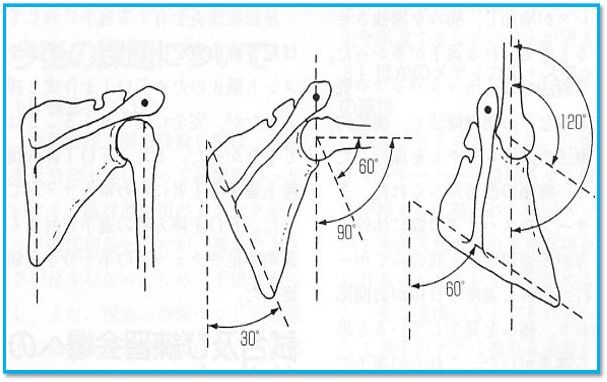 2017年08月31日 脳血管の治療を考える作業療法士のブログ
