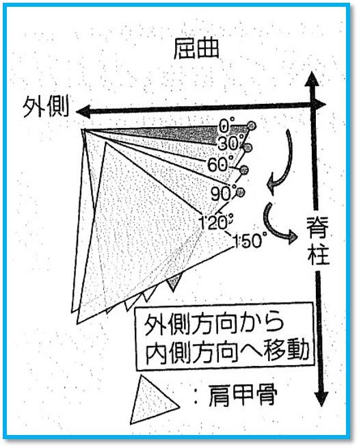 シリーズ肩甲骨～上腕リズムの違い～ 脳血管の治療を考える作業療法士のブログ
