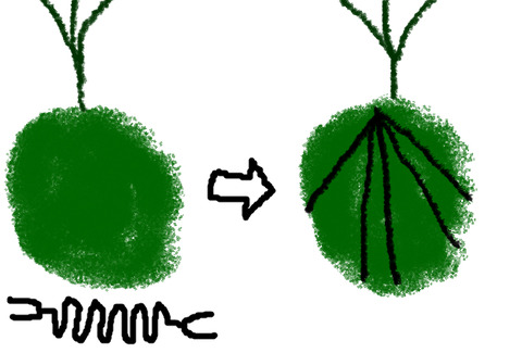BlogPaint