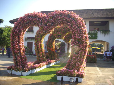 花の展示 (1)