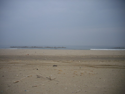 宮城 (14)