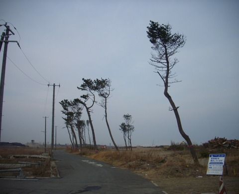宮城 (1)
