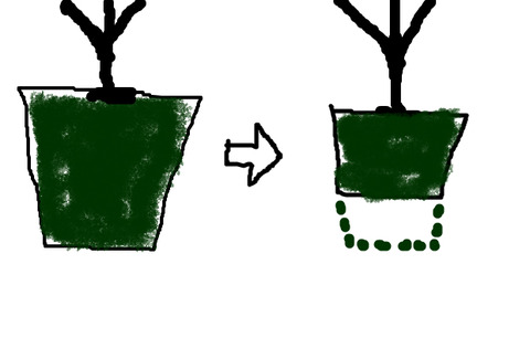 BlogPaint