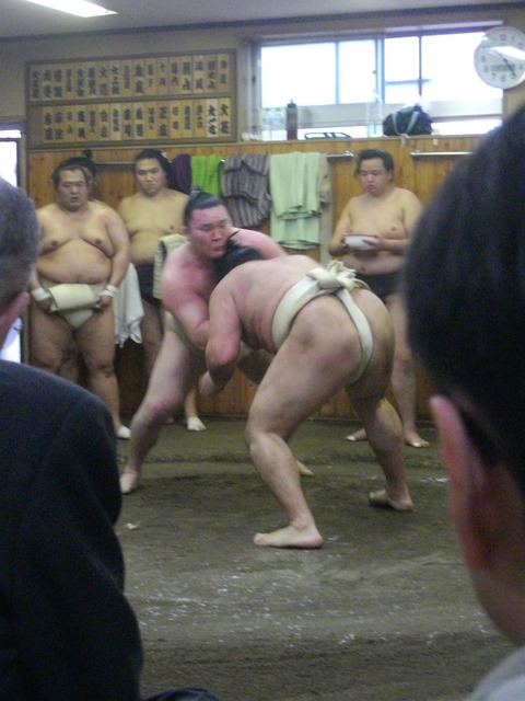 白鳳 はくほう