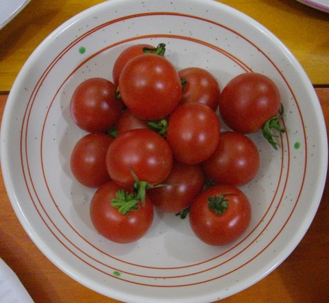 ミニトマト