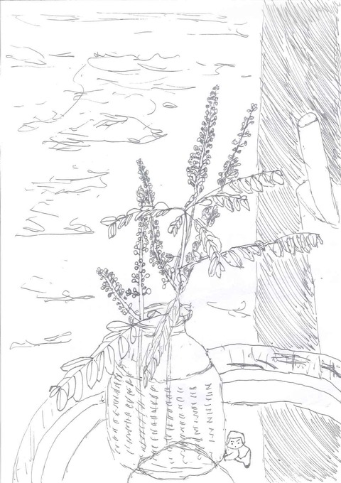 いけられた花と葉