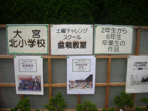小学校での盆栽教室の作品 (1)