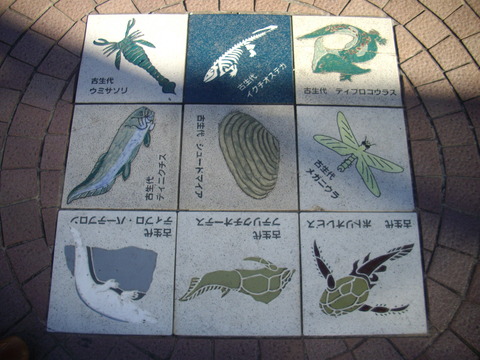 大森貝塚 (11)