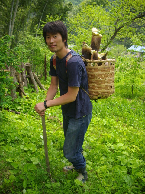 たけのこほり
