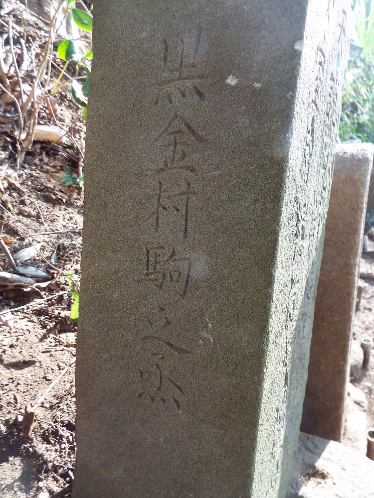 DSCF2322