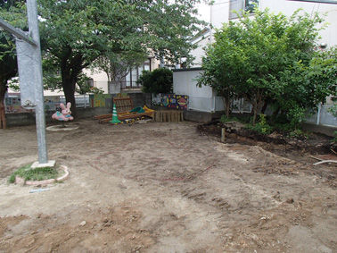 P6276799