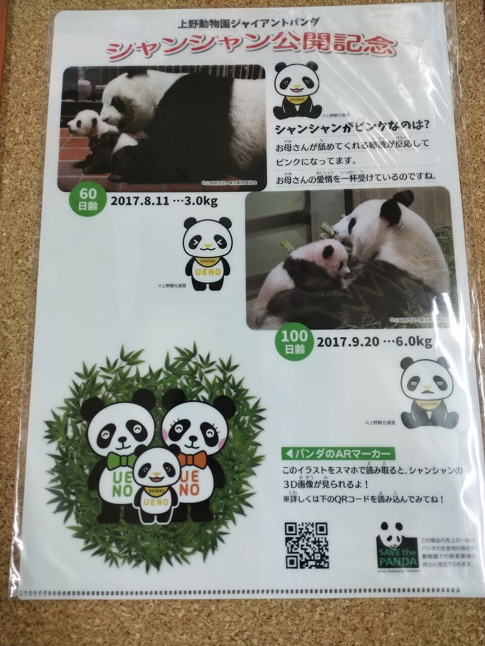 シャンシャン サンターガスブログ シャンシャン サンターガスブログ