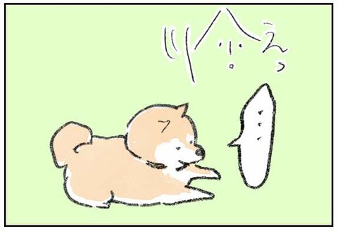 近所の柴犬が演技派だった話 うえのももふくblog