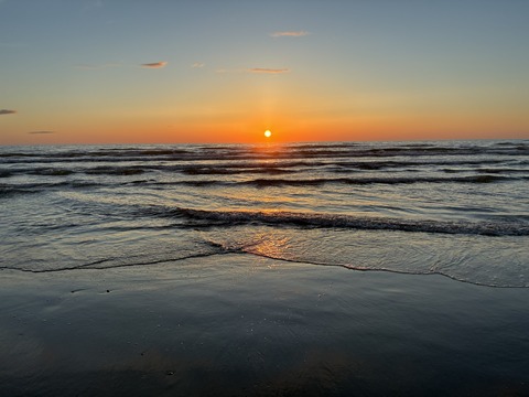 IMG_4350