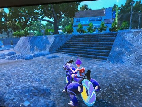 IMG_7950