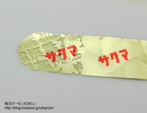 CIMG8741