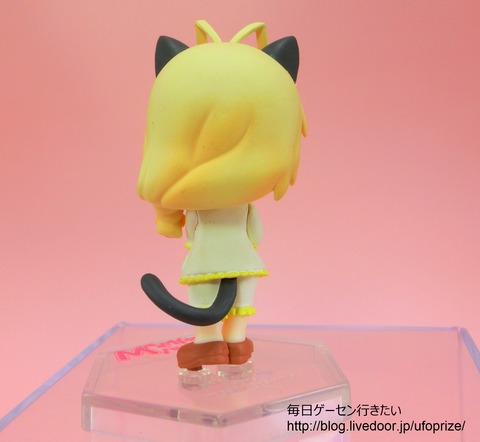 CIMG0508