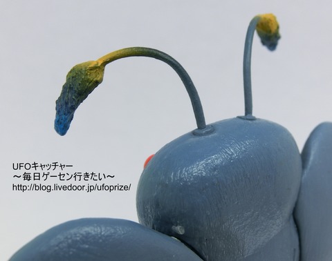 CIMG9980
