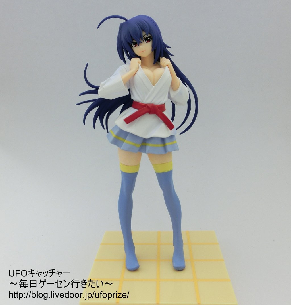 レビュー めだかボックス ハイグレードフィギュア 黒神めだか セガプライズ Ufoキャッチャー 毎日ゲーセン行きたい レビュー めだかボックス ハイグレードフィギュア 黒神めだか セガプライズ Ufoキャッチャー 毎日ゲーセン行きたい