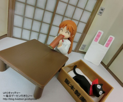 CIMG0348