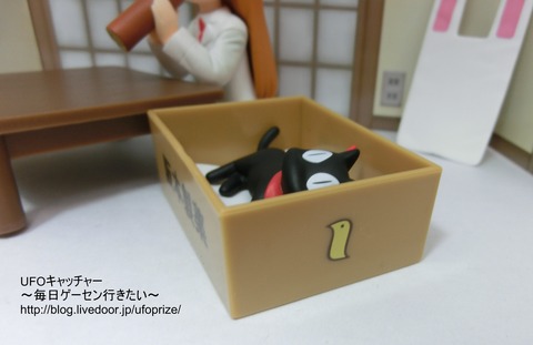 CIMG0344