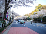20090406TOKYOサイクリング_靖国通り